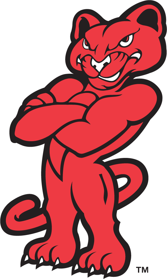 Houston Cougars 1996-2003 Mascot Logo diy DTF decal sticker